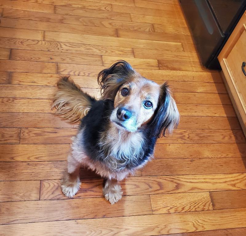 Kendra looking pretty while waiting to eat it.