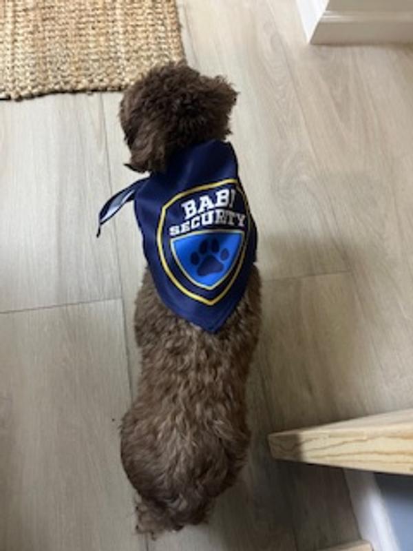 Daisy preparing for her security shift.