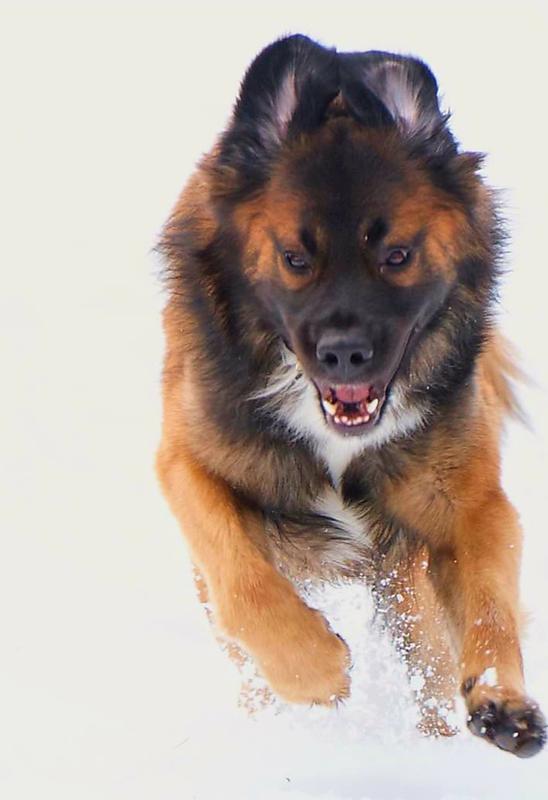 "My family loves the results while I love the flavor!"