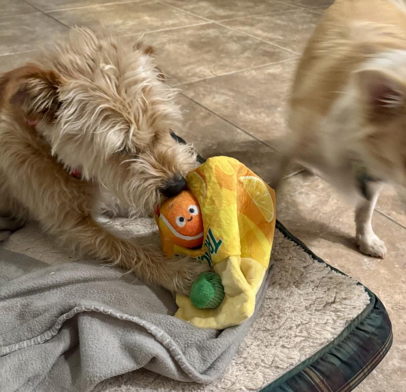 Pulling the orange out of the carton