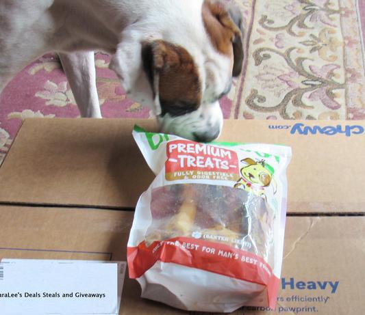 Boxer checking them out