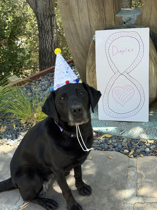 It’s my birthday