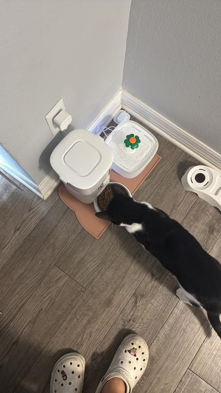 Affordable Efficient Water Fountain and Automatic Feeder