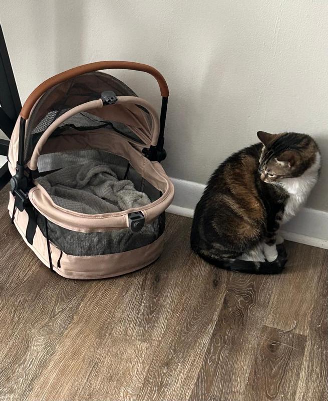 Trying to act uninterested but she couldn't help herself.