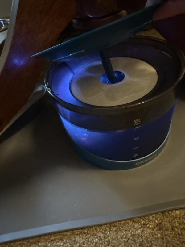 Filter below drinking dish