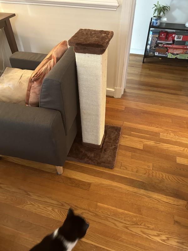 FRISCO 33.5in Sisal Cat Scratching Post, Brown Chewy Canada