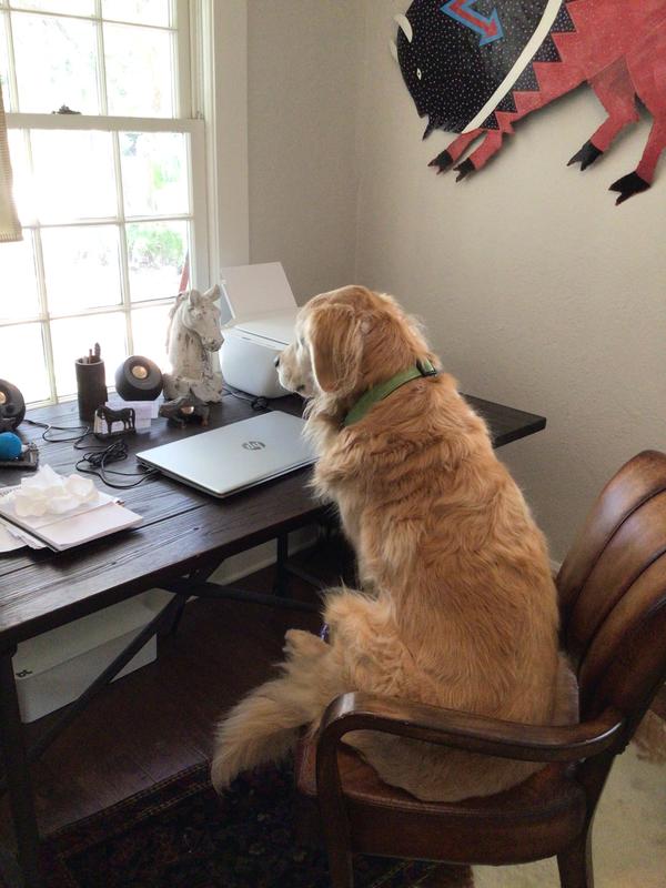 Charlie doing a survey