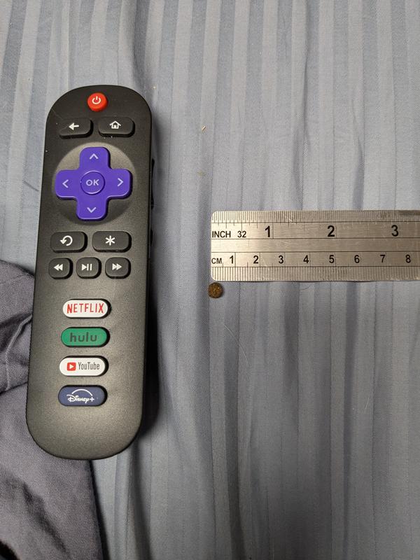 Tv remote for scale.