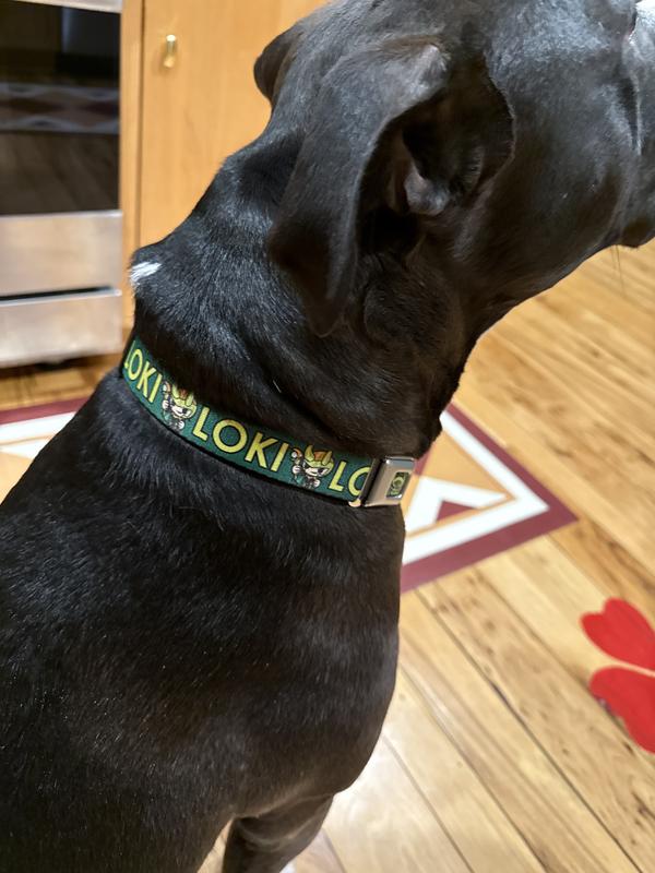 Loki Collar
