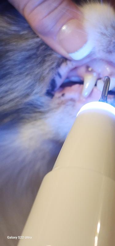 Piper doesn't mind too much