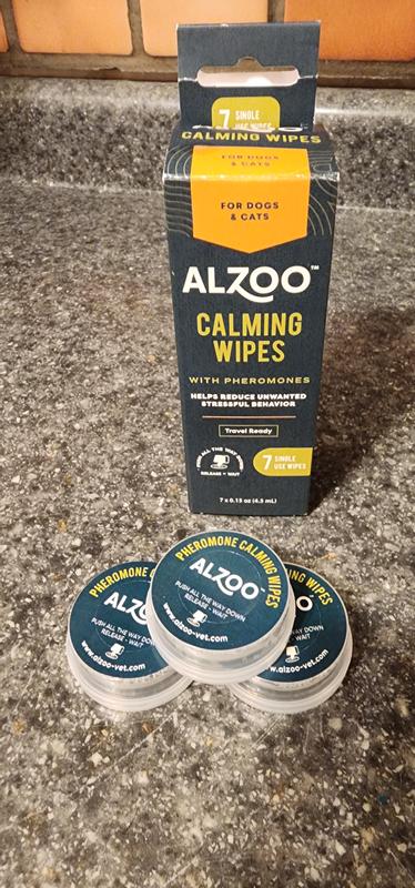 Look how small! super to carry with you anywhere