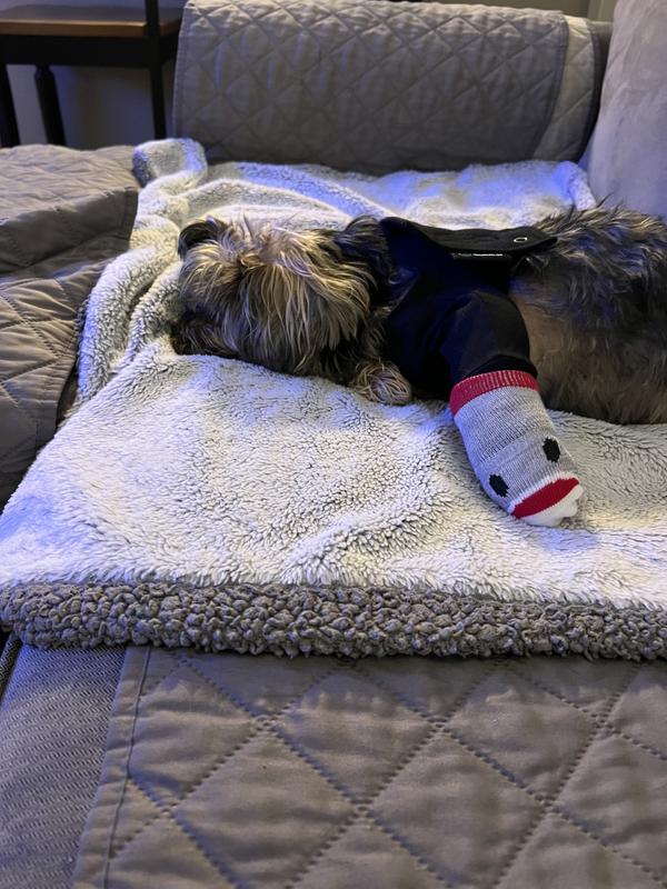 Monkey sock was to jazz her up !!!