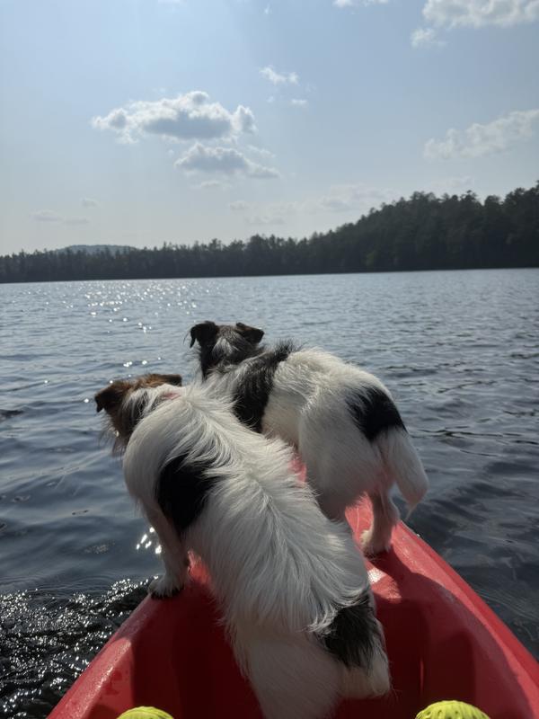 Energy for any adventure