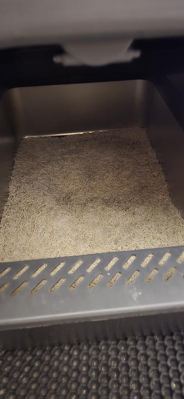 When fist put in box