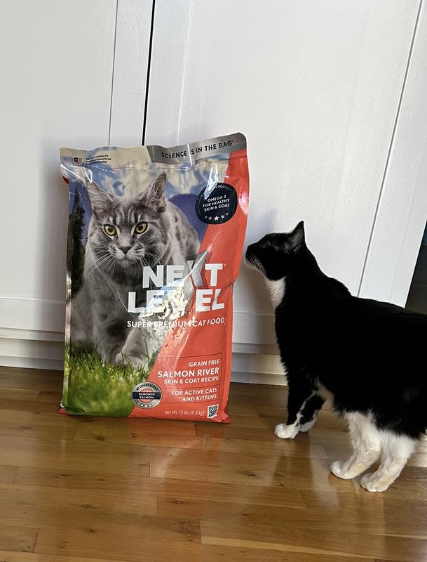 Cat Approved!