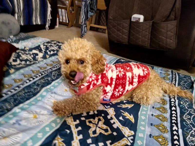 Chilling at the ski lodge