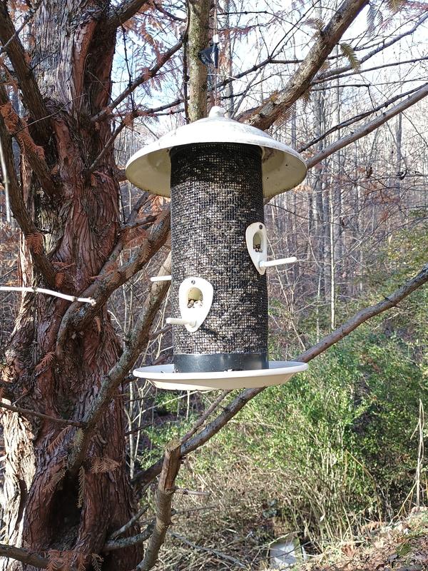 The bird seed and the feeders I used
