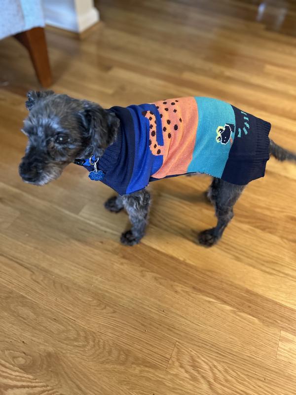 Cute as a button!