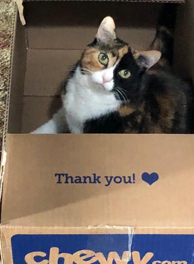 A picture says a thousand words. In this case, two.