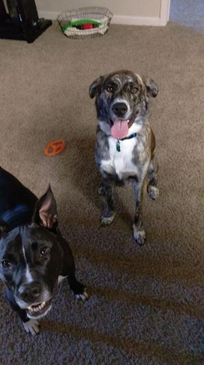 Best Friends Forever