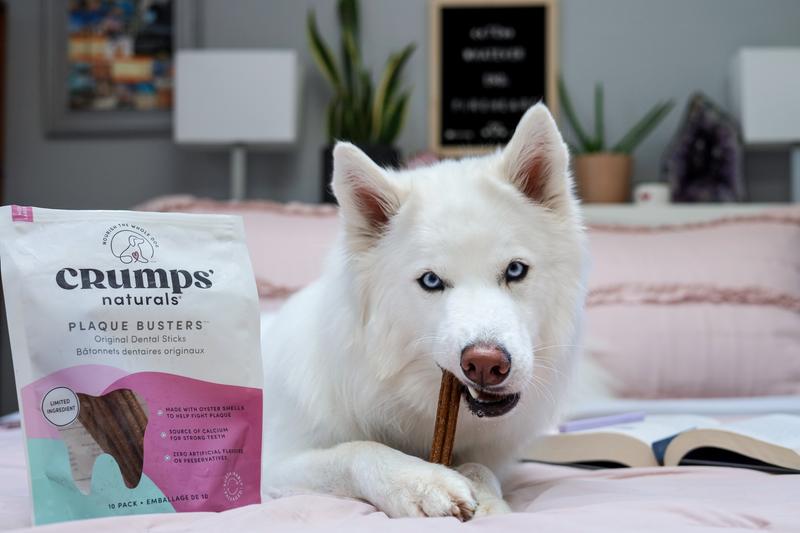 Don't mind her drool!