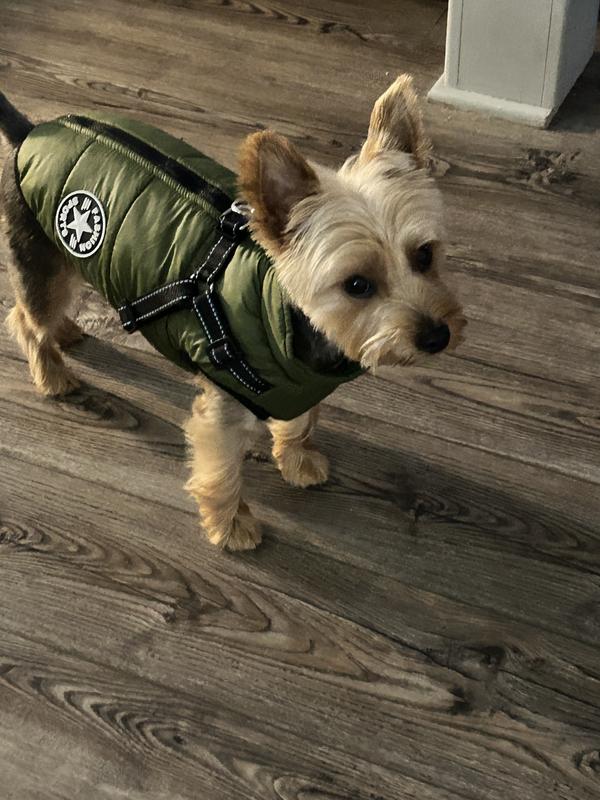 Here’s my little side kick