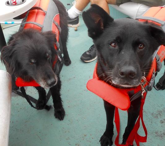 Maxx & Kody looking for a fish