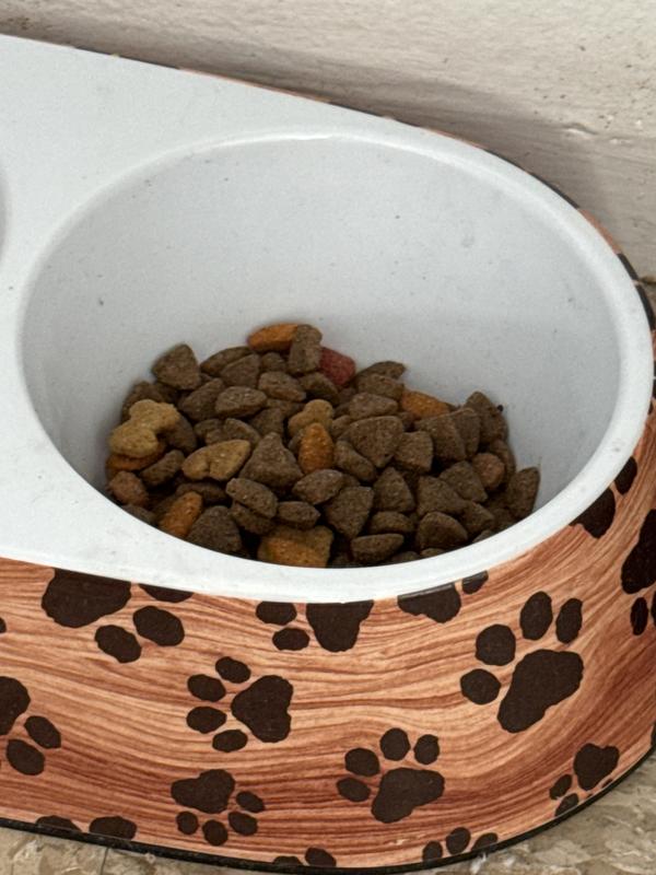 This was the first time I gave it to her. None broken yet and mixed with her fav.