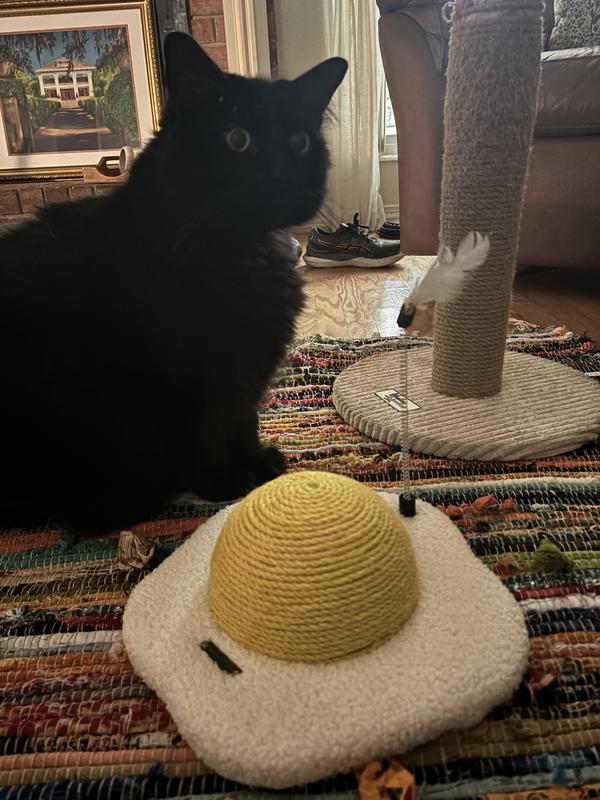 Lil’Baby checking out the quail egg 😹