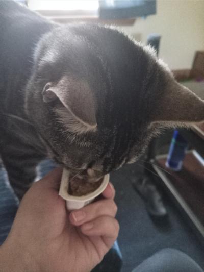 I could barely get this open before he started sampling.