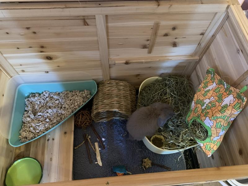 Once you get litter box and bowls not much space.