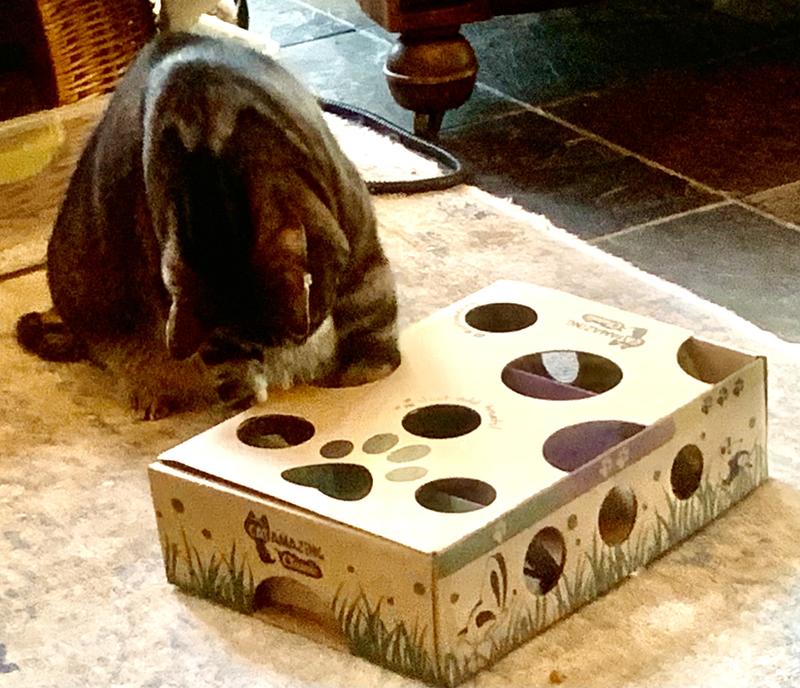 Cat Slow Feeder Cat Amazing Classic Cat Puzzle Feeder - Main Image