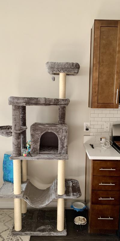 Would highly recommend!!