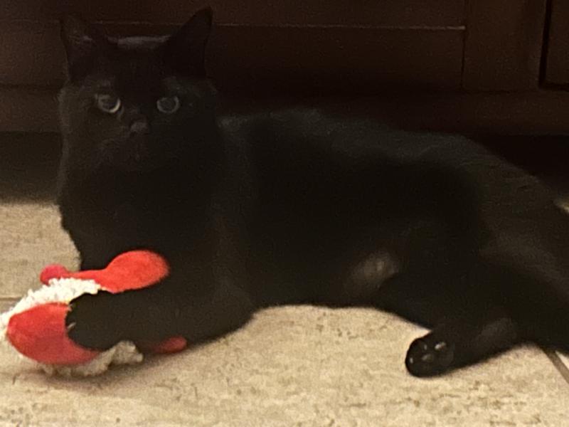 “MINE”