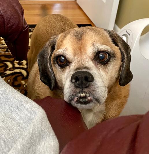 Sweet old boy, Jeter.