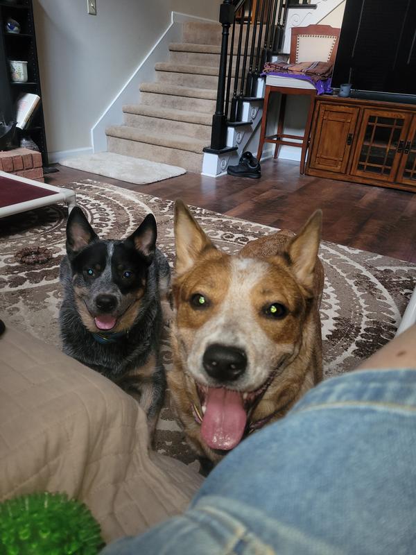 My two roadies