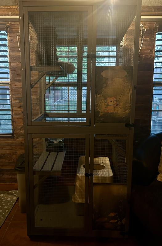 Layla in her catio 🖤