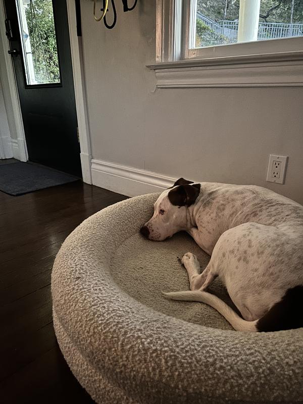 the skunk hurt his feelings