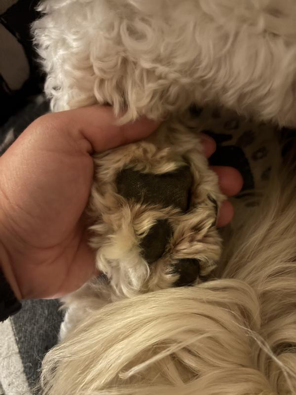 Before product application. You can see the dryness!