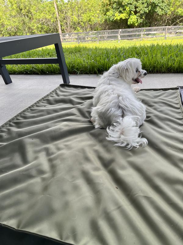 Relaxing on a warm summer morning.
