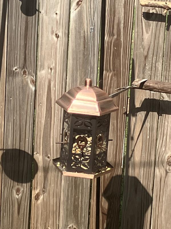 This is the feeder which is also available at Chewy