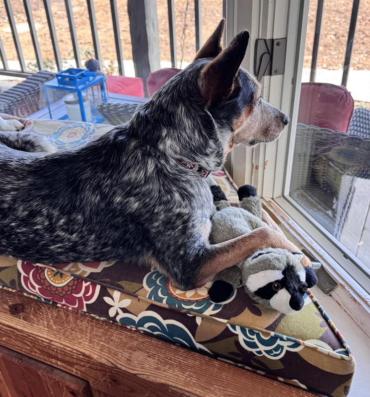 Aggie and her new best friend