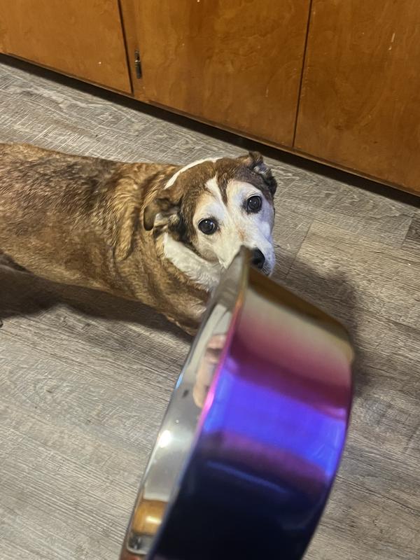 Fancy rainbow design
