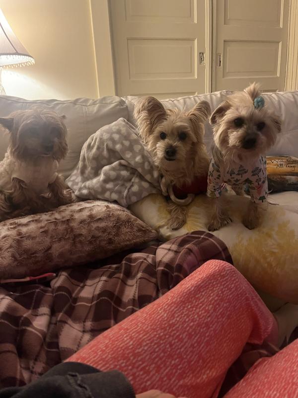 Bob Olive and the newbe Zero