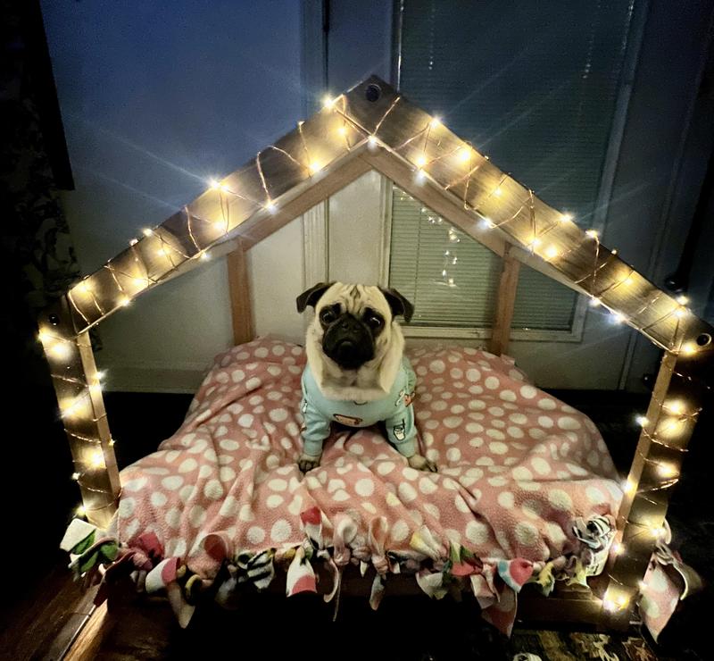 Darling Darla Mae's Dwelling