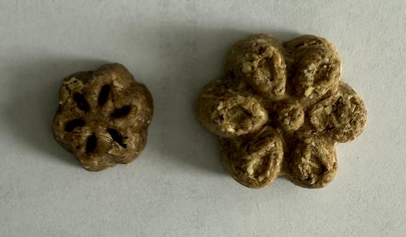 New, smaller and chewy / Old, larger and baked crunchy.