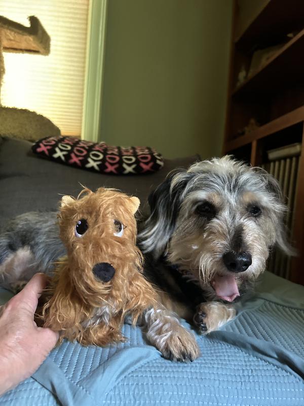 KONG Comfort Pups Terry Tough Squeaky Dog Plush Toy, Brown, Small