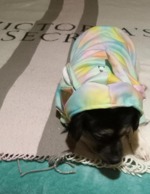 Ugh. Mom dressed me up again!