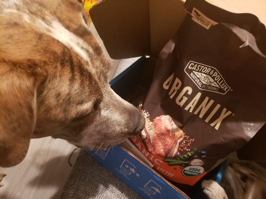 Product Reviews for CASTOR & POLLUX ORGANIX Organic Chicken & Oatmeal  Recipe Dry Dog Food