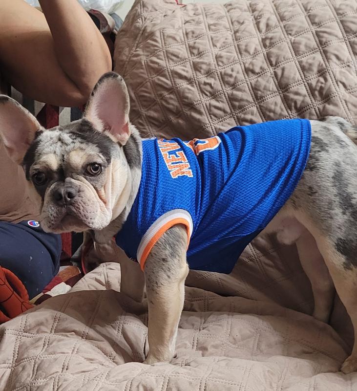 Knicks fan